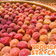 Image for article titled Umeboshi cocktails prove that salt’s not just for icy roads